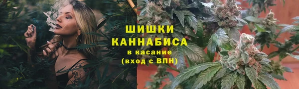 бошки Нея