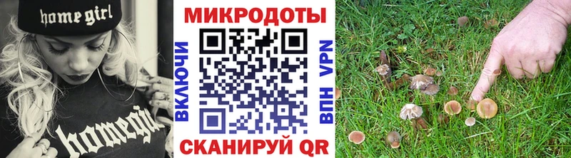 наркошоп  сайты даркнета Telegram  Галлюциногенные грибы мухоморы  Кемь 